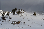 Wetterkapriolen... Lamar Valley *Yellowstone National Park*