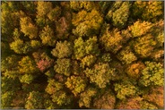 leuchtende Herbstfarben... Laubwald *Oktober*