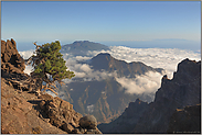 über den Wolken...  Außenrand der Caldera *La Palma*