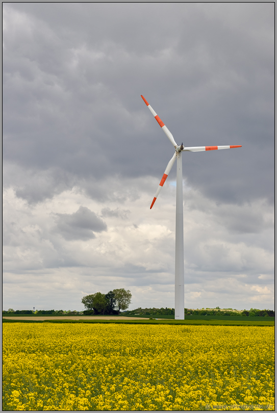 Erneuerbare Energien... Wind und Raps *Nordrhein-Westfalen*