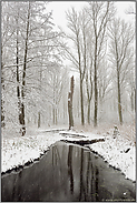 Winter am Mühlenbach... Meerbusch *Nordrhein-Westfalen*