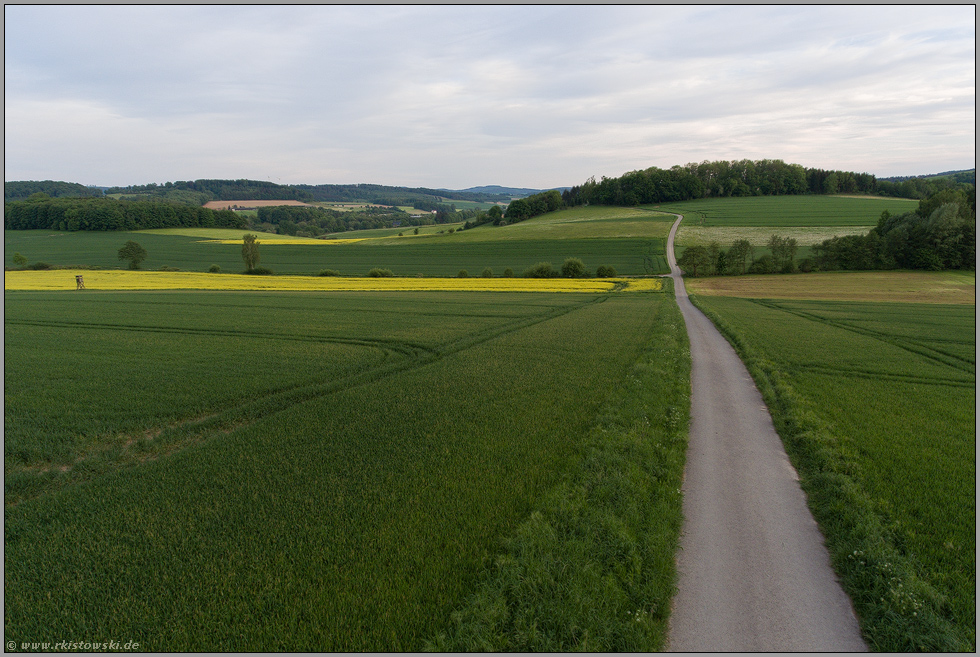 den Weg hinab... Blick über Wiesen und Felder *Sauerland*