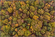 goldener Herbst... Laubwald *Nordrhein-Westfalen* aus der Vogelperspektive