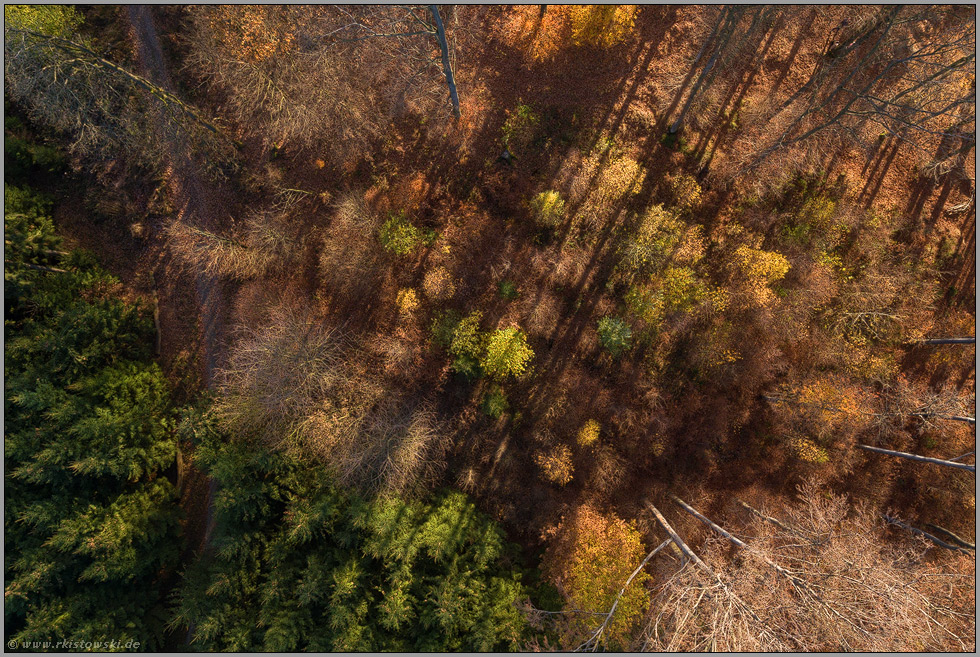 Licht und Schatten... Wald *Sauerland* aus der Vogelperspektive