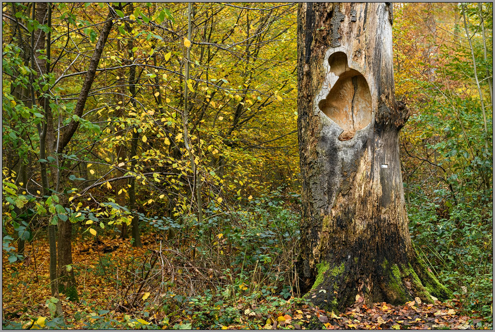 der Mann im Baum... Lank Latum *Herrenbusch*, Schnitzkunst, Arbeiten in Holz von Horst R. Kerger