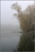 Novemberstimmung... Latumer See *Meerbusch*