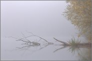 Stille... Latumer See *Meerbusch*