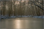 naturbelassen... Meerbusch *Nordrhein-Westfalen*