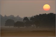 bei Tagesanbruch... Heidelandschaft *Sonnenaufgang*
