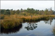 ein Tag im Moor... Teufelskuhle *Maasduinen*