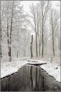 Winter am Mühlenbach... Meerbusch *Nordrhein-Westfalen*