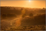 Lens flares... Sonnenaufgang *Veluwe* über der Heide