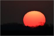 glutrot... Sonnenaufgang *Solis ortus*
