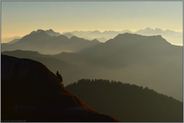 Sonnenaufgang in den Bergen... Alpen *Berner Oberland*, Blick über Bergketten, Berggipfel im frühen Licht