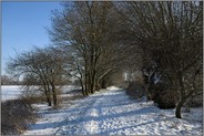 Rheinland... Ilvericher Altrheinschlinge *Meerbusch* im Winter bei Schneelage und schönem Wetter