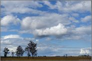 im Hochmoor... Hohes Venn *Eifel*, Blick über die weite Moorlandschaft